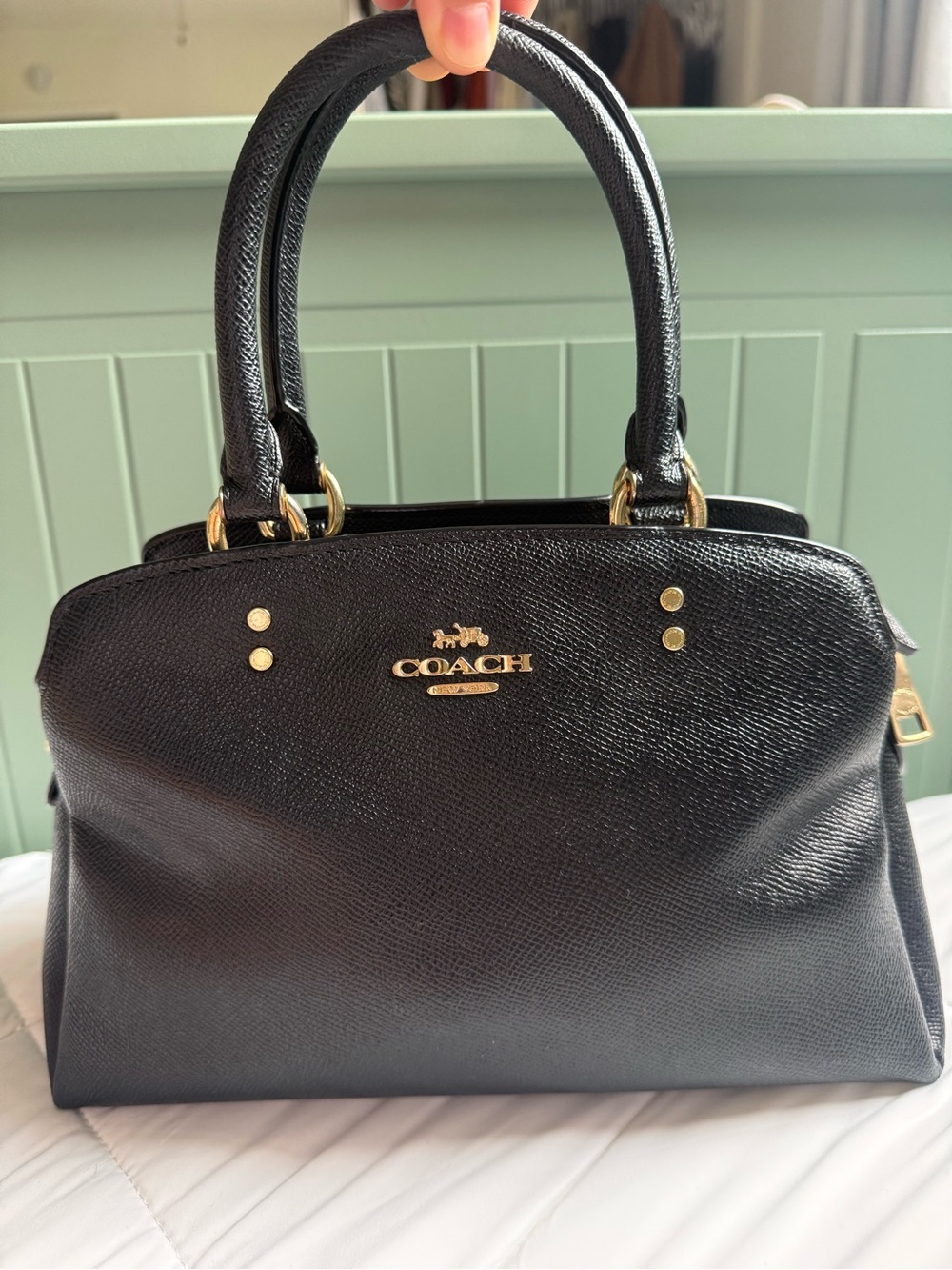 Coach Mini Lillie Carryall bag